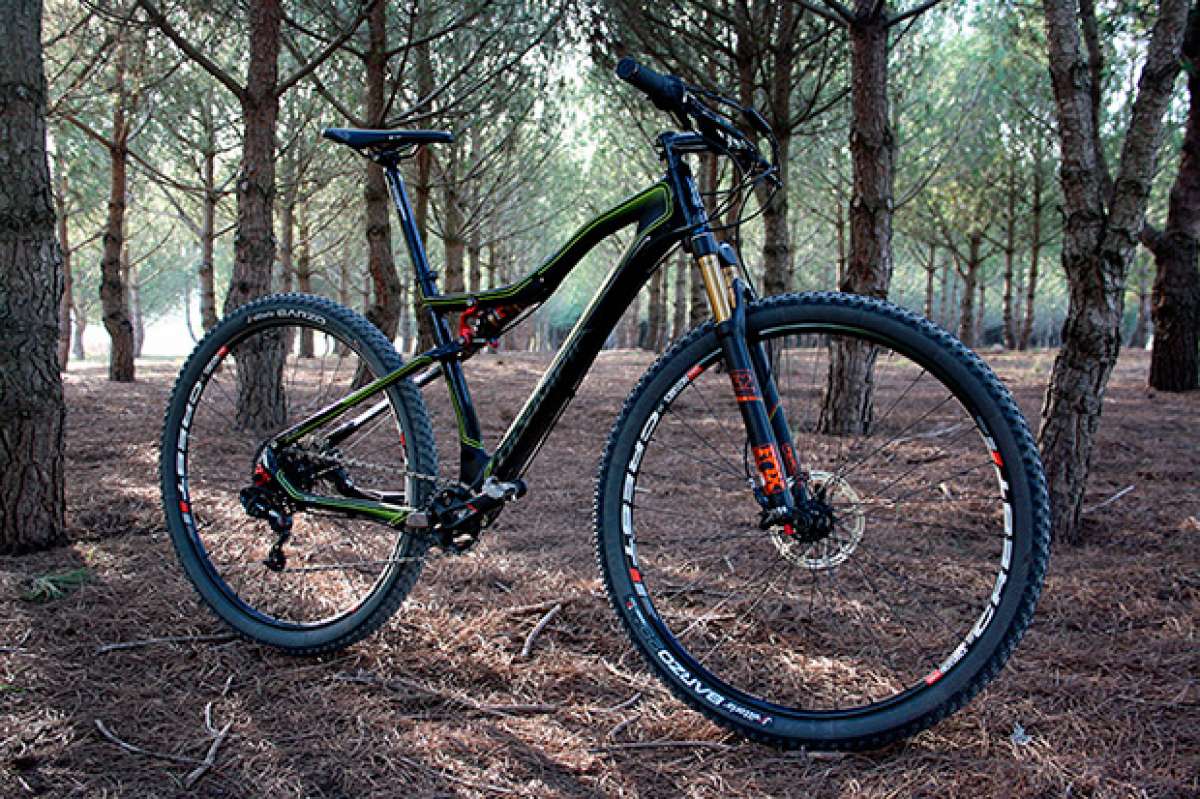 A prueba: Olympia Bullet 29 Race GX1 de 2016