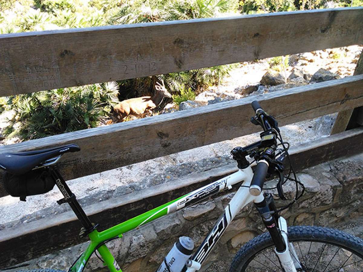 La foto del día en TodoMountainBike: 'Reserva de Ciervos Valle de La Casella (Alzira)'