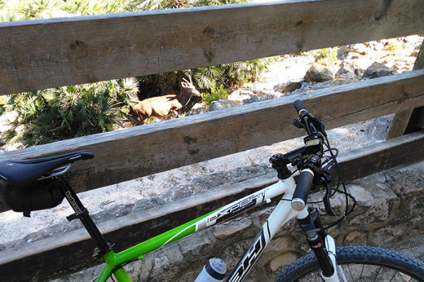 La foto del día en TodoMountainBike: "Reserva de Ciervos Valle de La Casella (Alzira)"