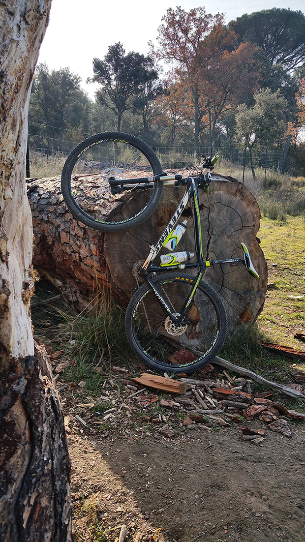 La foto del día en TodoMountainBike: 'Leña al mono'