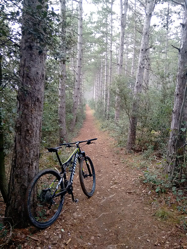 La foto del día en TodoMountainBike: 'Ruta desde Arroniz'