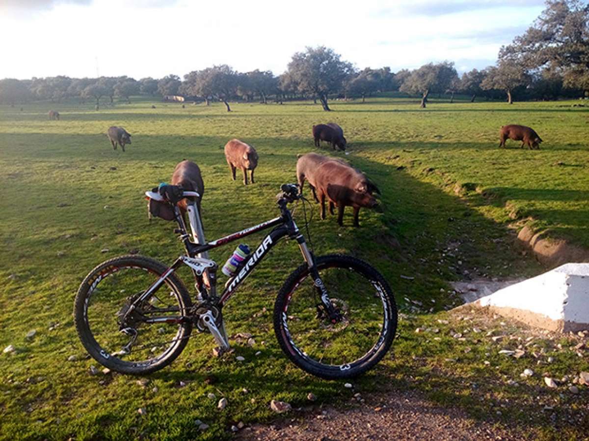 La foto del día en TodoMountainBike: 'Desde Villar de Plasencia'