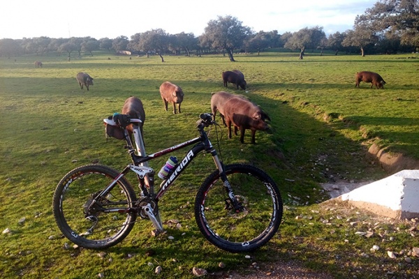 La foto del día en TodoMountainBike: "Desde Villar de Plasencia"