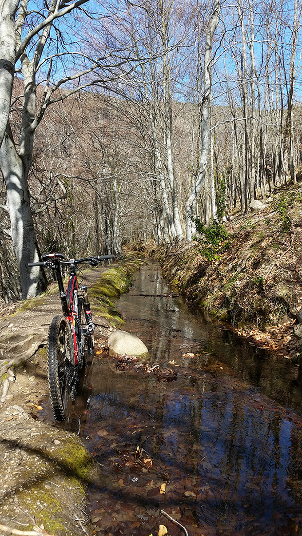 La foto del día en TodoMountainBike: 'Senda de la Regadera'