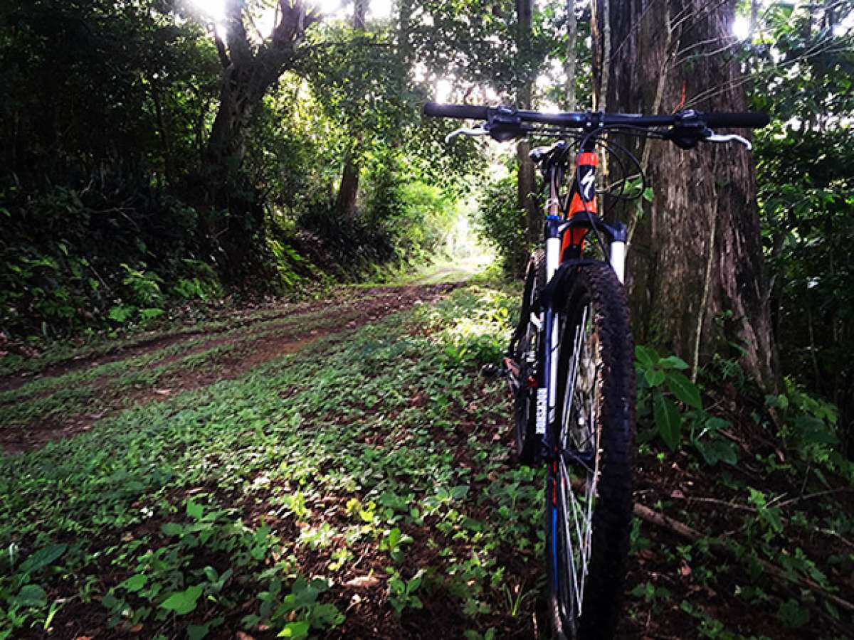 En TodoMountainBike: La foto del día en TodoMountainBike: 'Ecoparque El Espino'