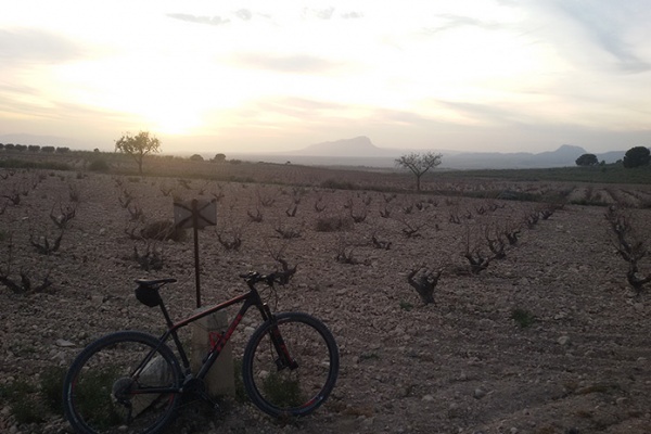 La foto del día en TodoMountainBike: "Atardecer entre viñedos"