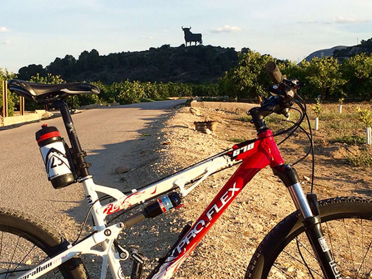 La foto del día en TodoMountainBike: 'Toro de Tavernes de la Valldigna'