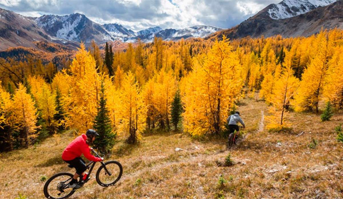 En TodoMountainBike: Vertiginosos descensos en primera persona con Matt Hunter y compañía