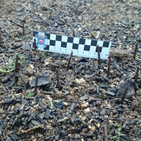 Alerta en Madrid: Trampas para ciclistas en San Martín de Valdeiglesias