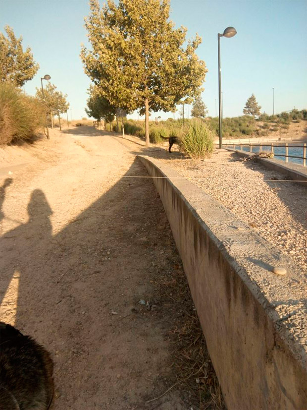 Alerta en Zaragoza: Trampas para ciclistas en Rosales del Canal