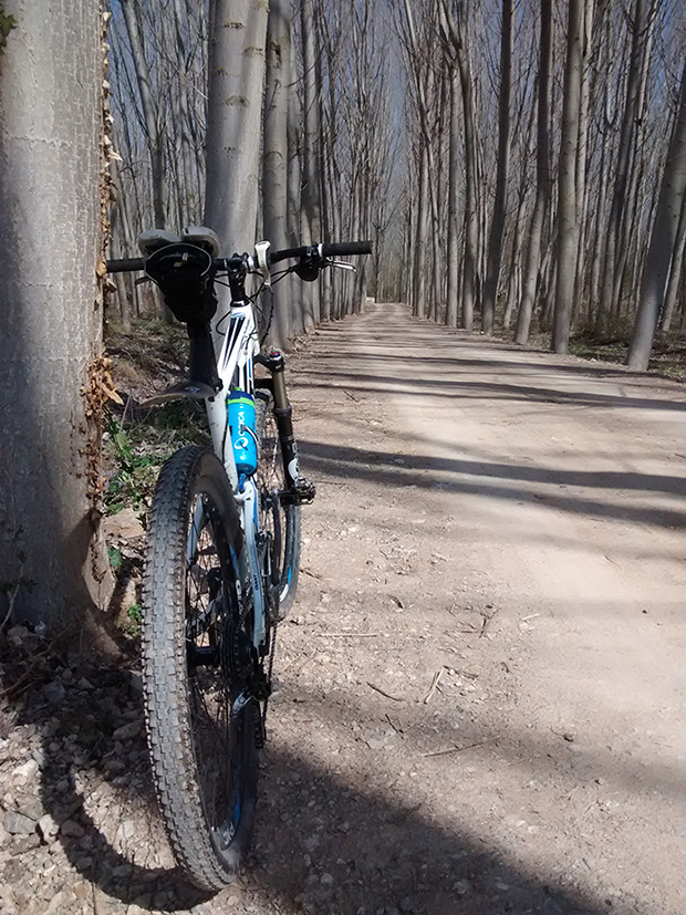 La foto del día en TodoMountainBike: 'Primavera en la Vía Romana'