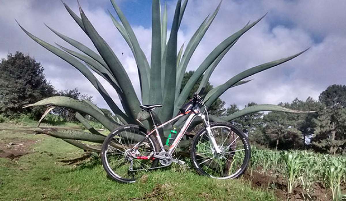 La foto del día en TodoMountainBike: "La bebida de los dioses"