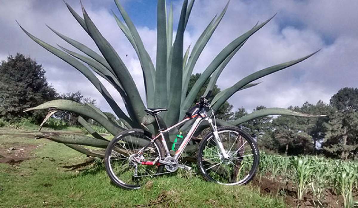 En TodoMountainBike: La foto del día en TodoMountainBike: 'La bebida de los dioses'