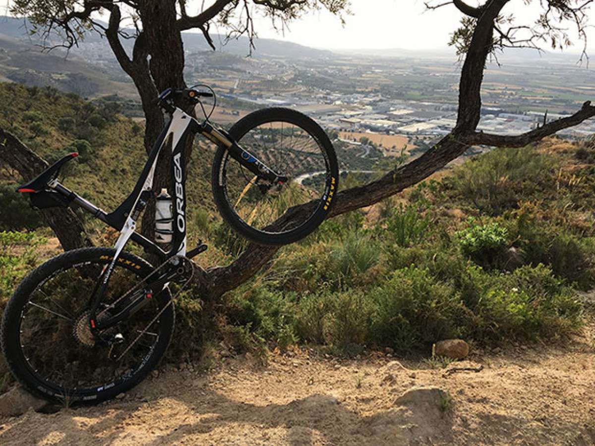 En TodoMountainBike: La foto del día en TodoMountainBike: 'Desde arriba se ve todo mejor con mi Orbea Oiz'