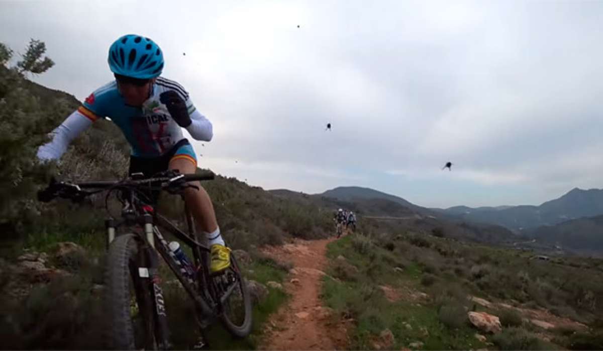 En TodoMountainBike: Así ataca un enjambre de abejas a un grupo de ciclistas de montaña