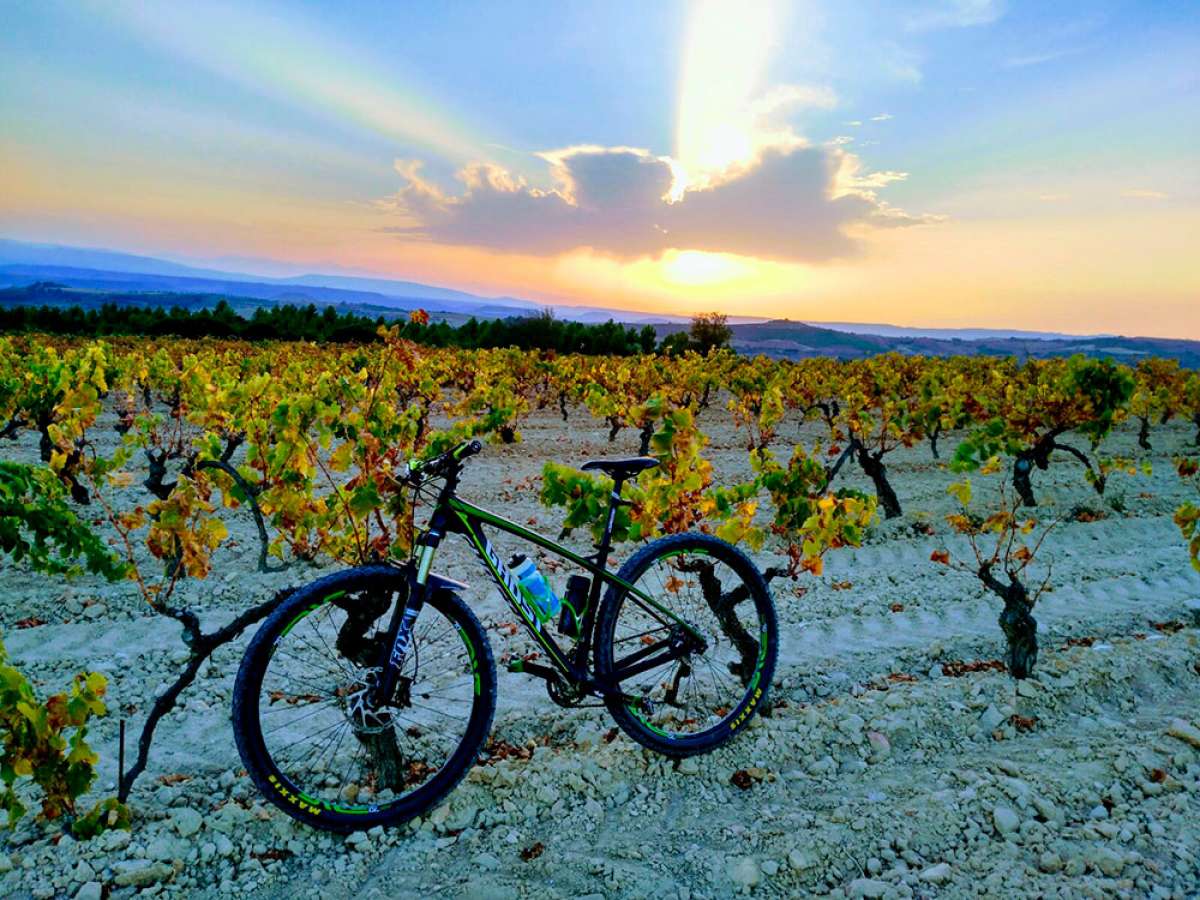 La foto del día en TodoMountainBike: "Bajando hacia Logroño"