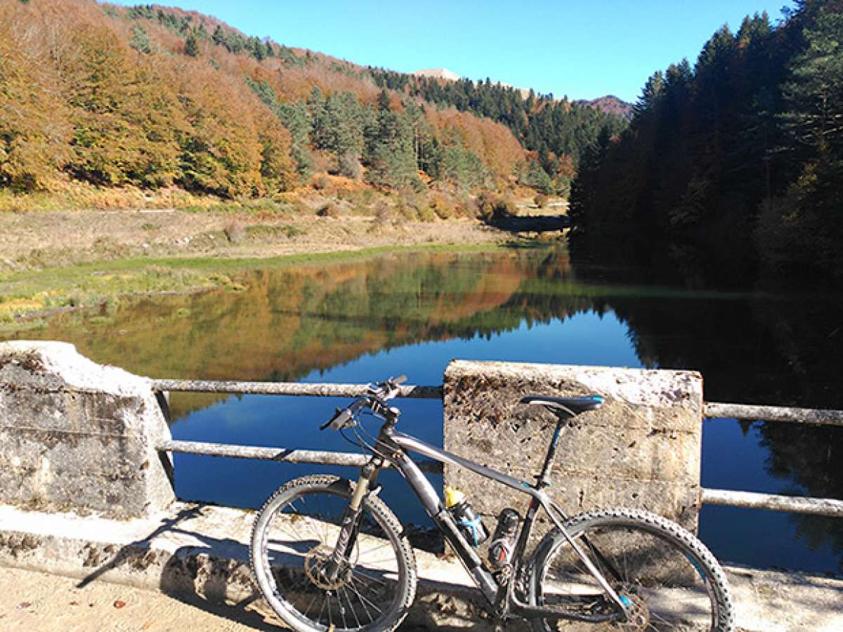 En TodoMountainBike: La foto del día en TodoMountainBike: 'Bosque de Irati'