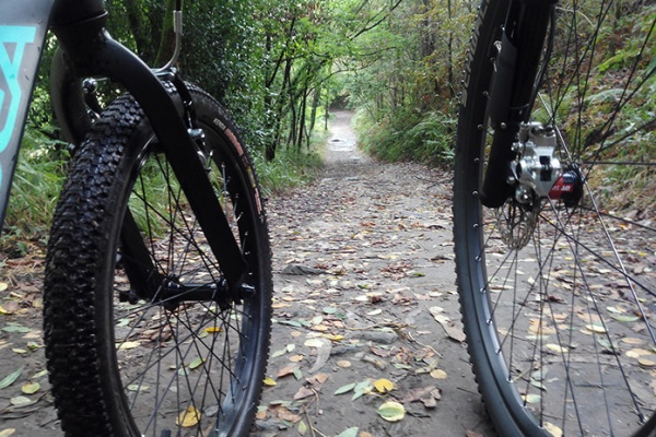 La foto del día en TodoMountainBike: "Compartiendo ruta"