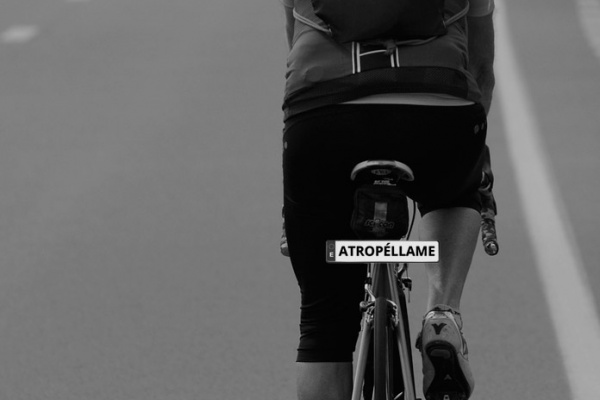 La primera tontería del año: carné por puntos, matrícula y seguro obligatorio para ciclistas, según el RACE