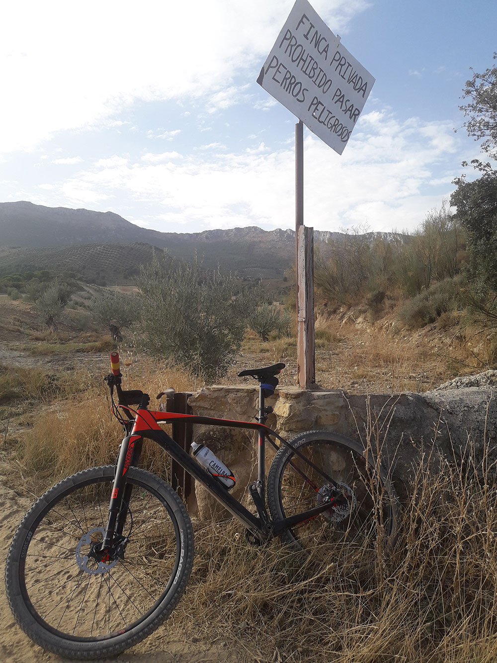 La foto del día en TodoMountainBike: "¡Perros peligrosos!"
