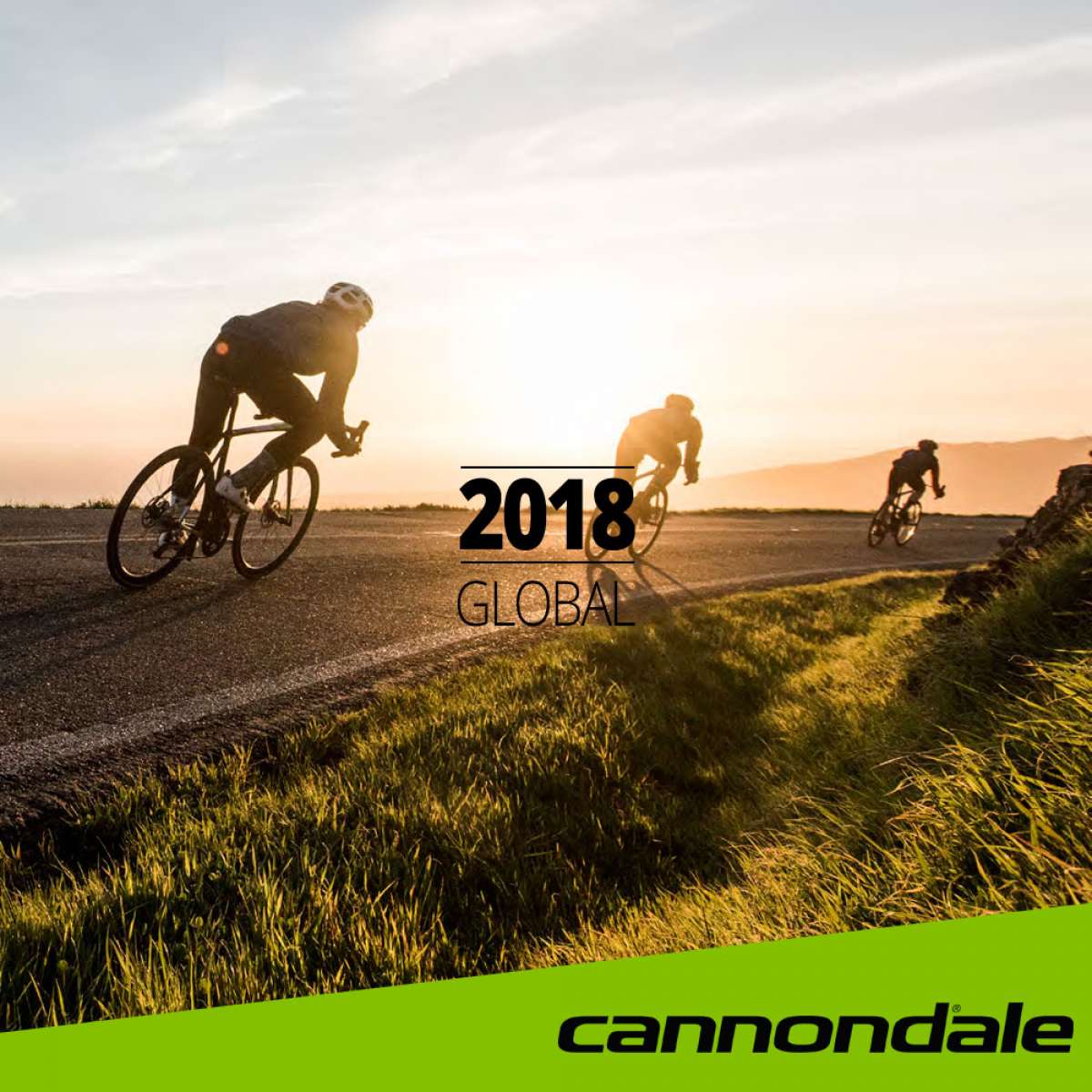 En TodoMountainBike: Catálogo de Cannondale 2018. Toda la gama de bicicletas Cannondale para la temporada 2018