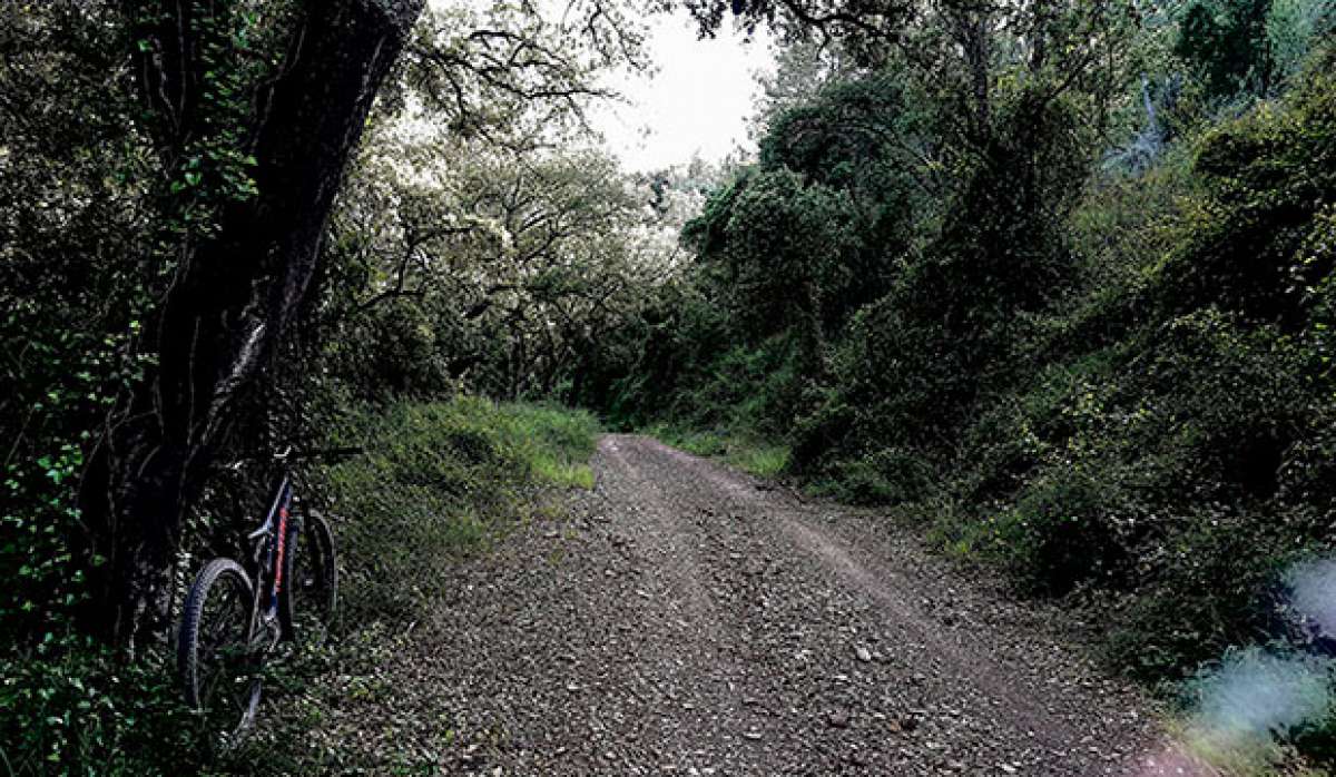 En TodoMountainBike: La foto del día en TodoMountainBike: 'Camino'