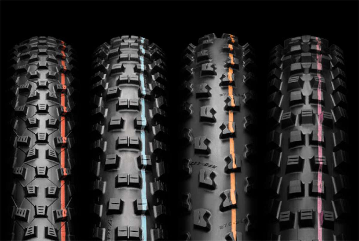 En TodoMountainBike: Schwalbe se reinventa con el nuevo compuesto ADDIX para su gama de neumáticos EVO