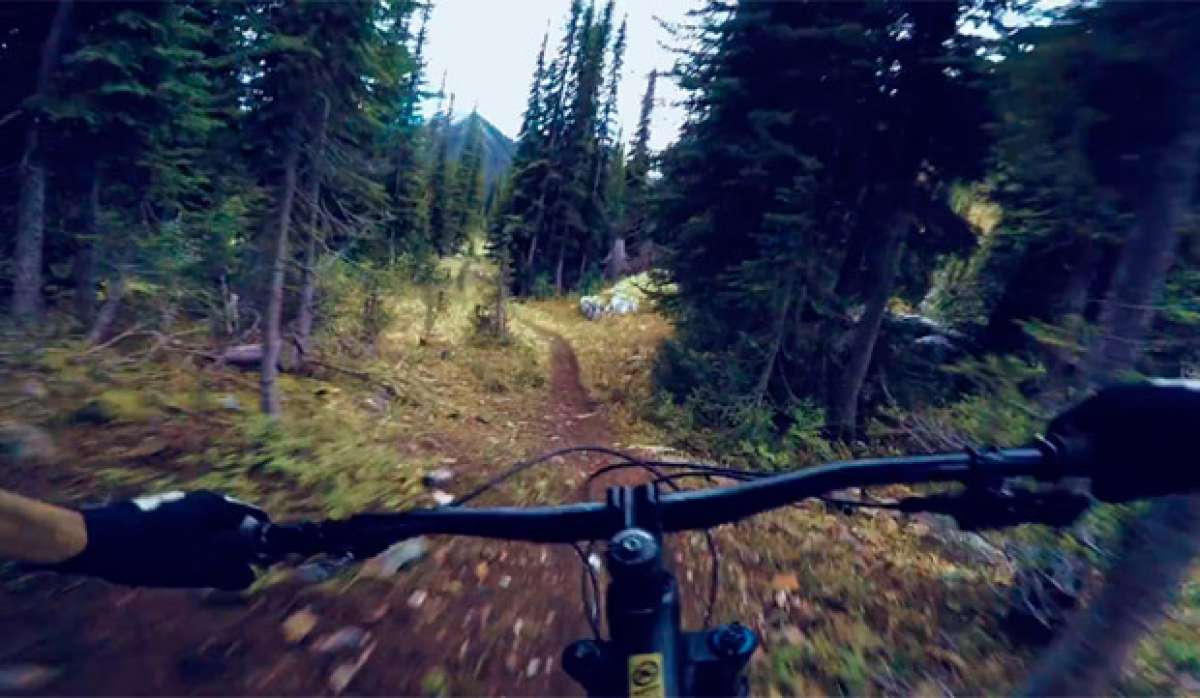 Connor Fearon + Kona Hei Hei Trail + Columbia Británica de Canadá = Ruta épica