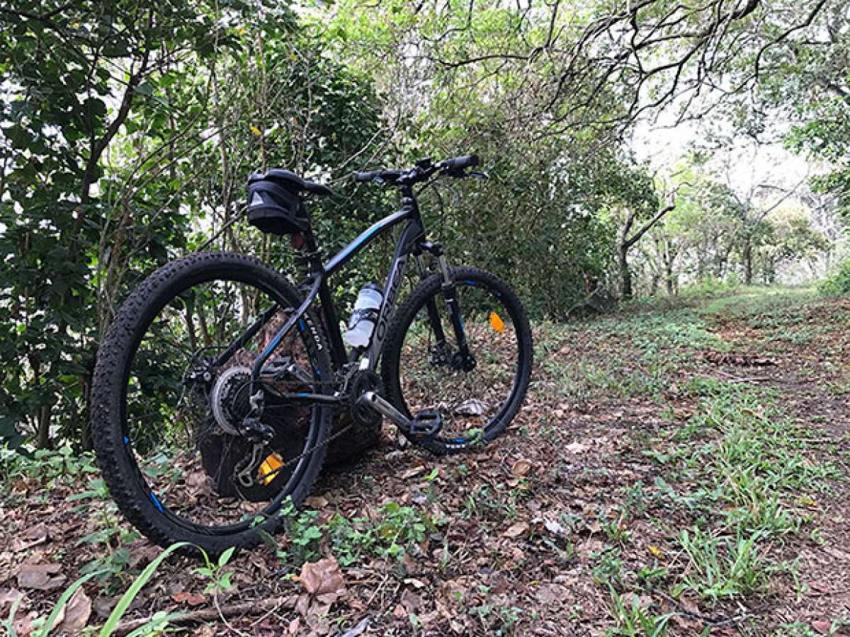 En TodoMountainBike: La foto del día en TodoMountainBike: 'En medio de la naturaleza'