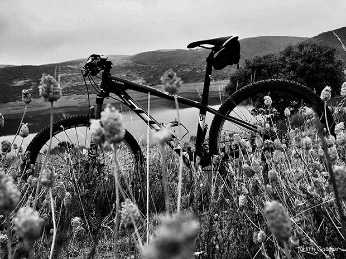 La foto del día en TodoMountainBike: "Combinando pasiones"