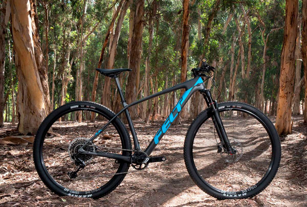 En TodoMountainBike: Felt Doctrine de 2018, la rígida para XC más ligera jamás fabricada por la firma