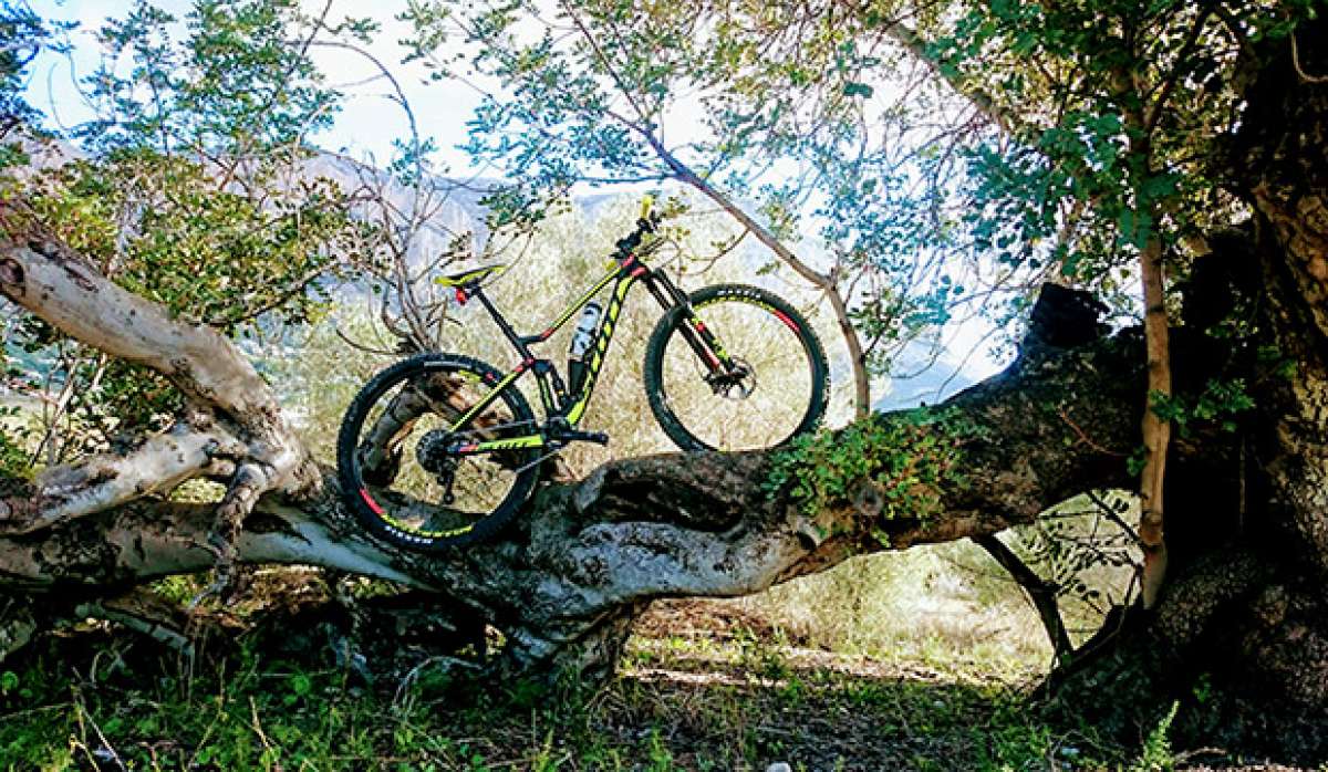 En TodoMountainBike: La foto del día en TodoMountainBike: 'Gata de Gorgos'
