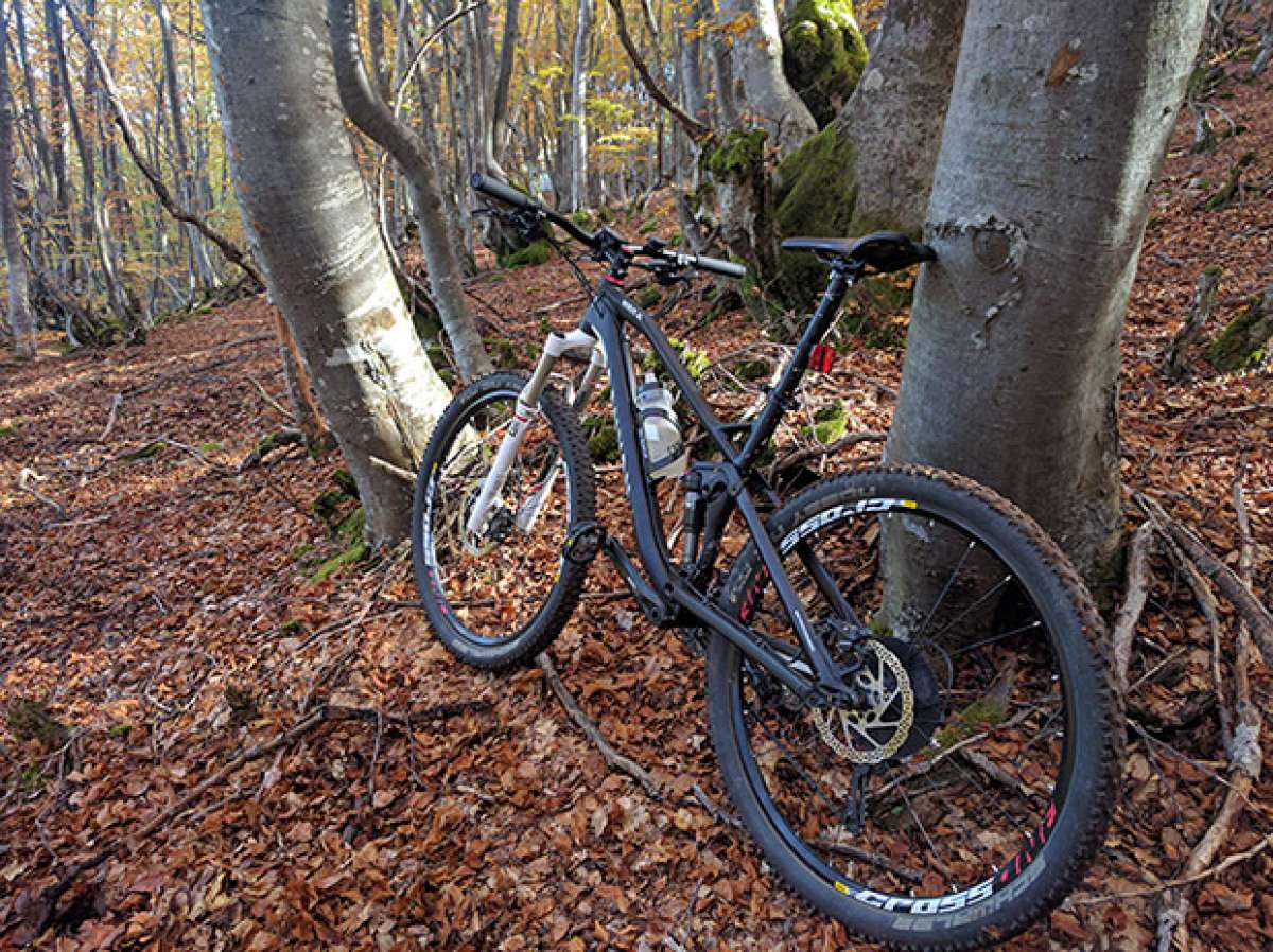 En TodoMountainBike: La foto del día en TodoMountainBike: 'Hayedo de Orzonaga'