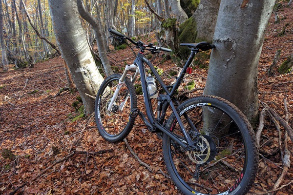 La foto del día en TodoMountainBike: 'Hayedo de Orzonaga'