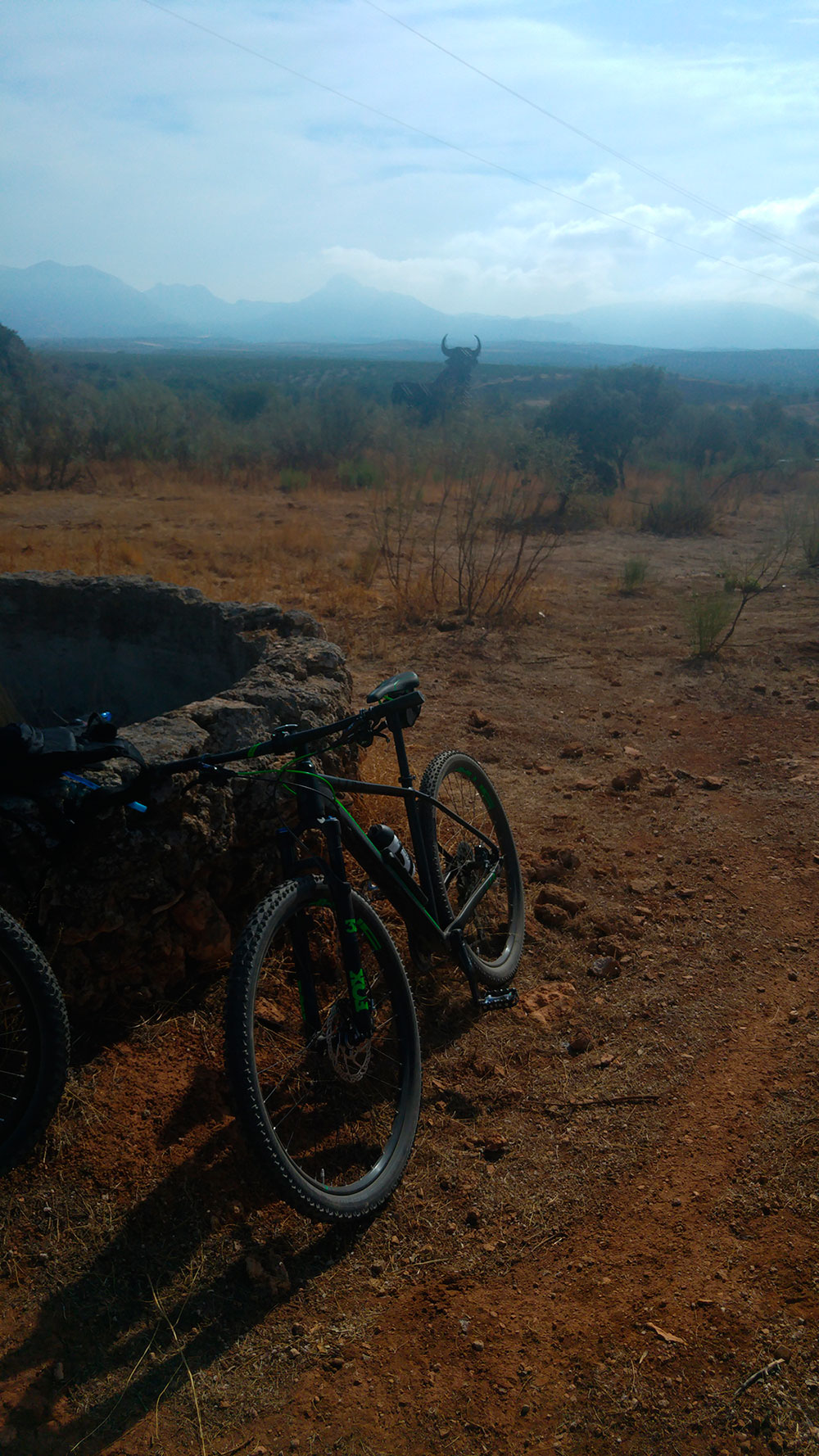 La foto del día en TodoMountainBike: "Llanos de Silva-Atarfe"