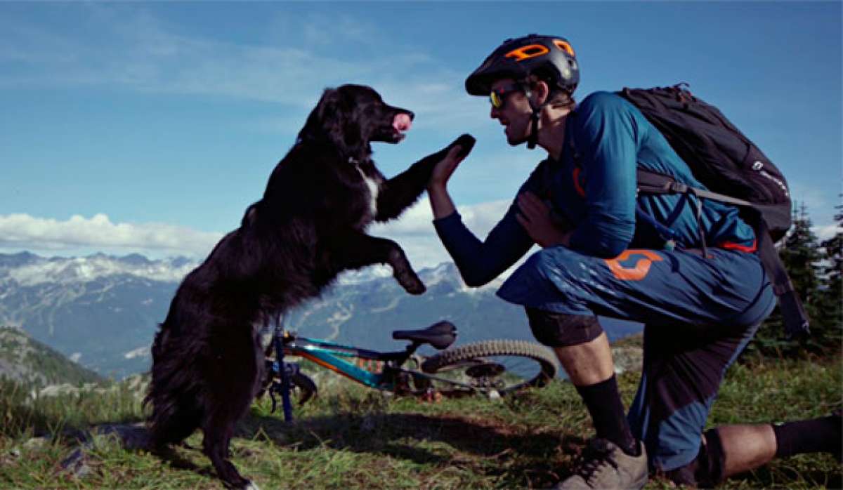 En TodoMountainBike: Rodando por la 'Lord of Squirrels' (Whistler, Canadá) con Kevin Landry, su Scott Genius y su perro Indy