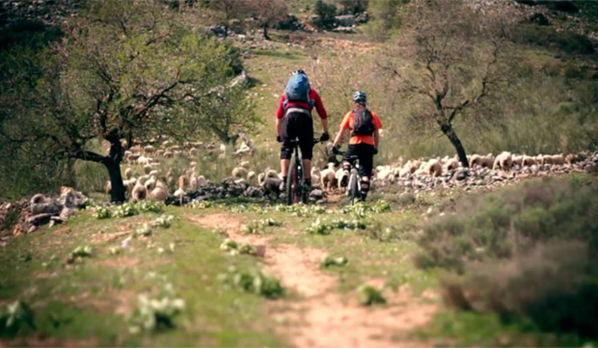 En TodoMountainBike: Practicando Mountain Biking en Andalucía (España)