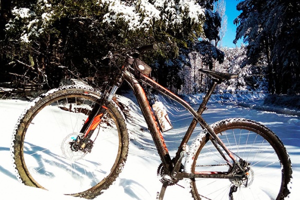 La foto del día en TodoMountainBike: "Parque nacional Villarrica"