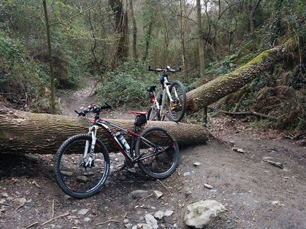 En TodoMountainBike: La foto del día en TodoMountainBike: 'Un obstáculo en la ruta'