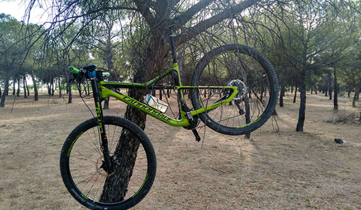 En TodoMountainBike: La foto del día en TodoMountainBike: 'Colgado por el BTT'