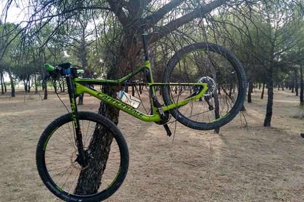 La foto del día en TodoMountainBike: "Colgado por el BTT"