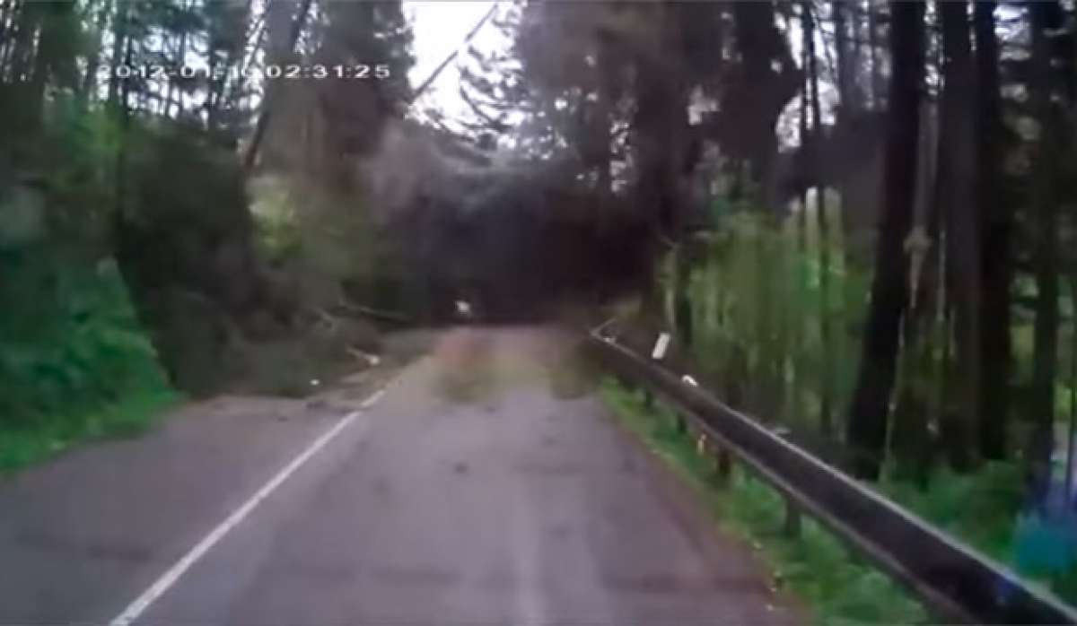 En TodoMountainBike: Los peligros de rodar en un bosque cuando la climatología es adversa