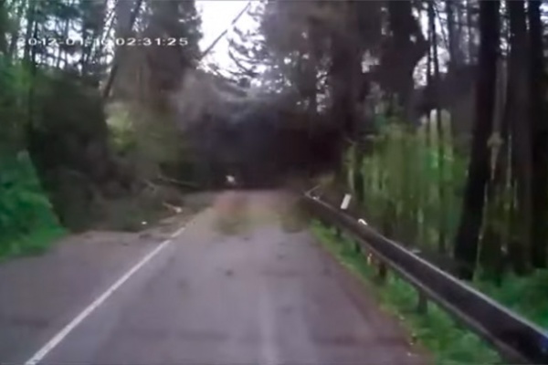 Los peligros de rodar en un bosque cuando la climatología es adversa