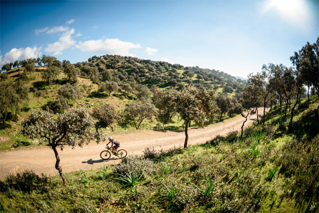 En TodoMountainBike: La cuarta etapa de la Andalucía Bike Race 2017, para Alexey Medvedev y Raiza Goulao