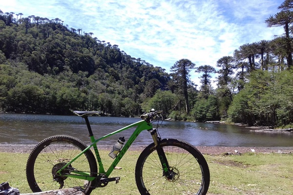 La foto del día en TodoMountainBike: "Santuario El Cañi"