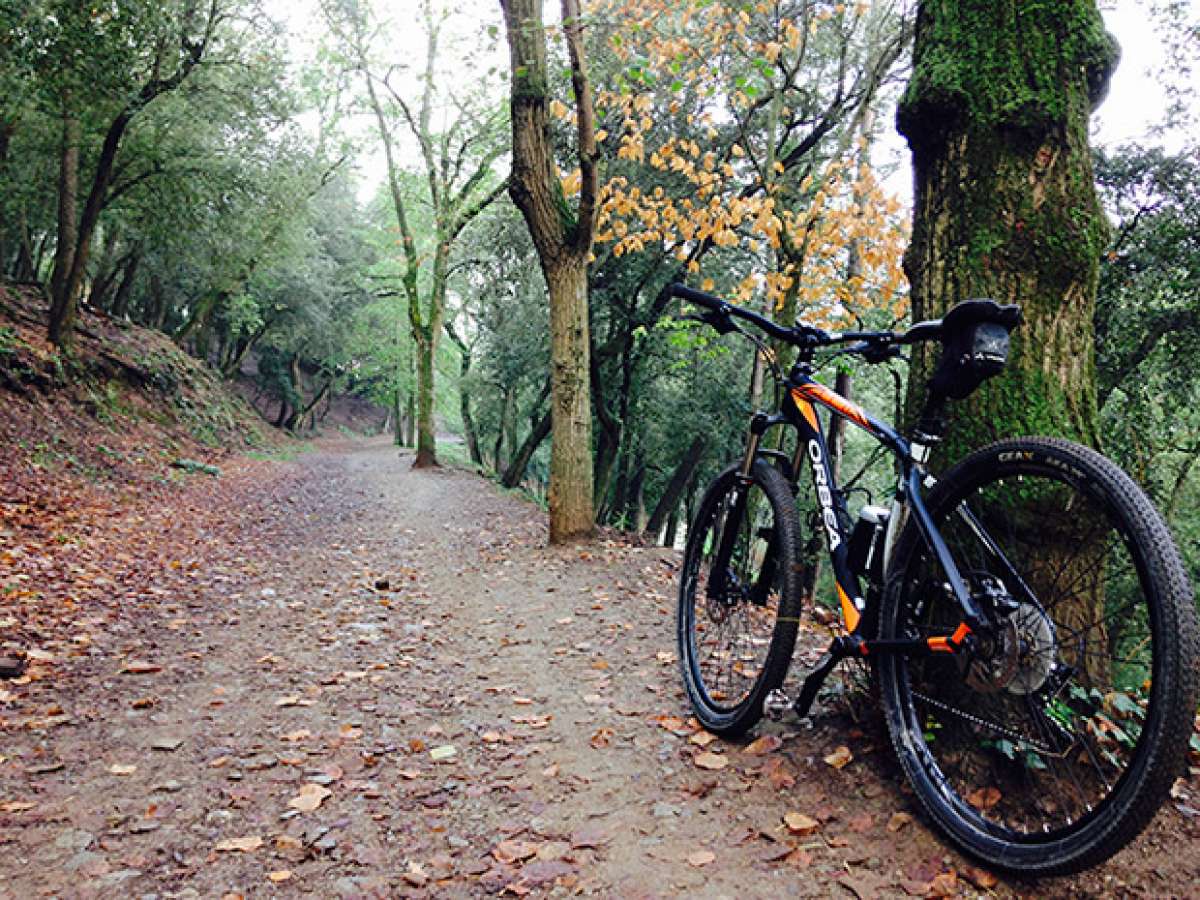 En TodoMountainBike: La foto del día en TodoMountainBike: 'Senderos de Collserola'