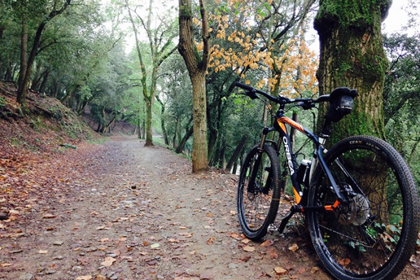 La foto del día en TodoMountainBike: 'Senderos de Collserola'