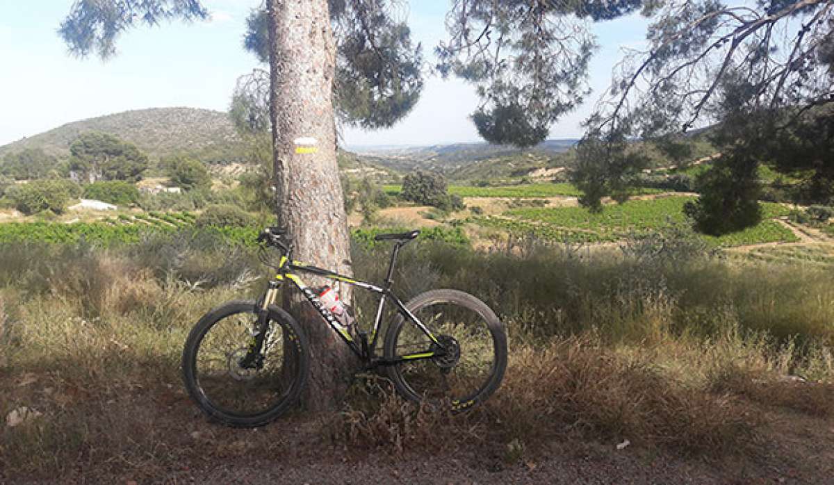 En TodoMountainBike: La foto del día en TodoMountainBike: 'Sierra de Chiva'