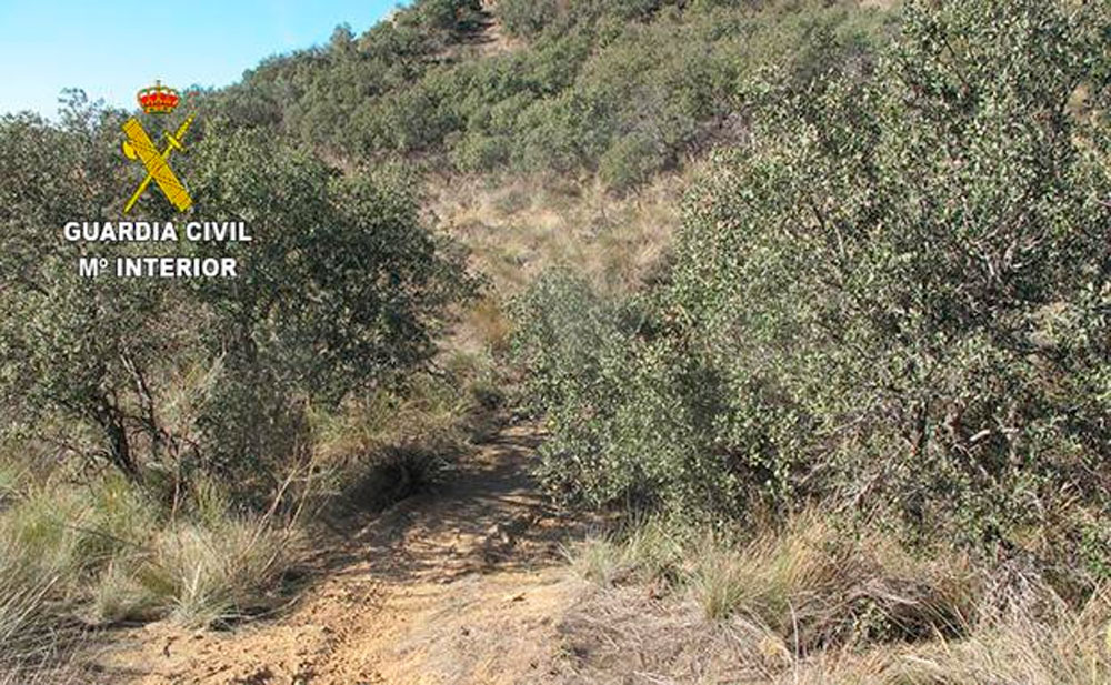 En TodoMountainBike: Alerta en Segovia: trampa mortal para ciclistas en una pista forestal de Bernardos