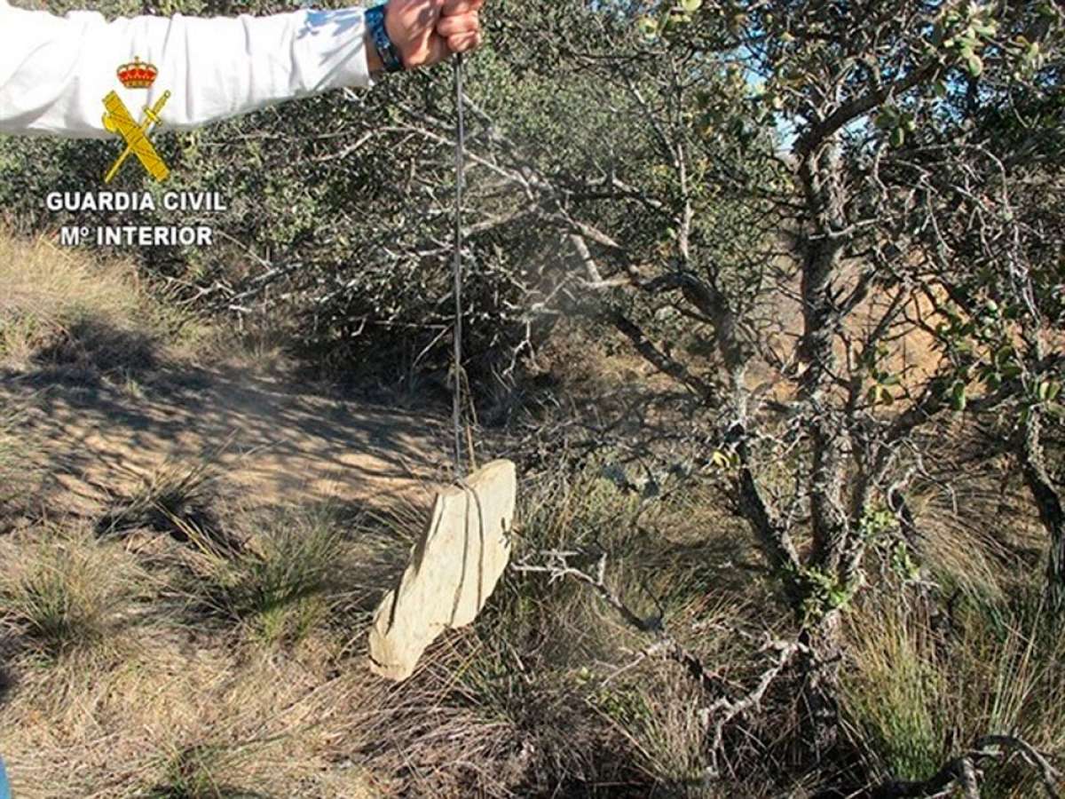 En TodoMountainBike: Alerta en Segovia: trampa mortal para ciclistas en una pista forestal de Bernardos